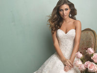 Allure Bridal Gown 9153